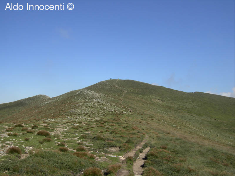 MONTE PRADO